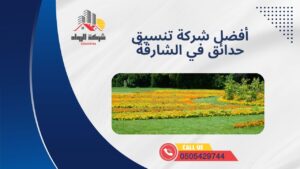 أفضل شركة تنسيق حدائق في الشارقة